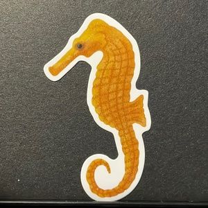 SEA HORSE STICKER